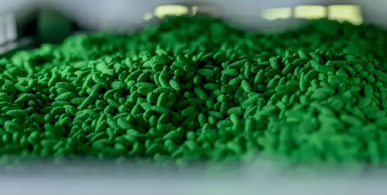 Texas secures immediate federal funding to hire livestock inspectors and fight ongoing New World screwworm out