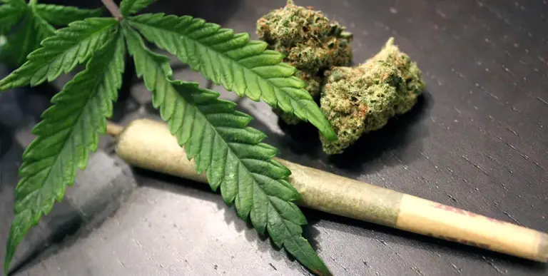 Austin hemp sellers weigh in on looming ban of smokable THC