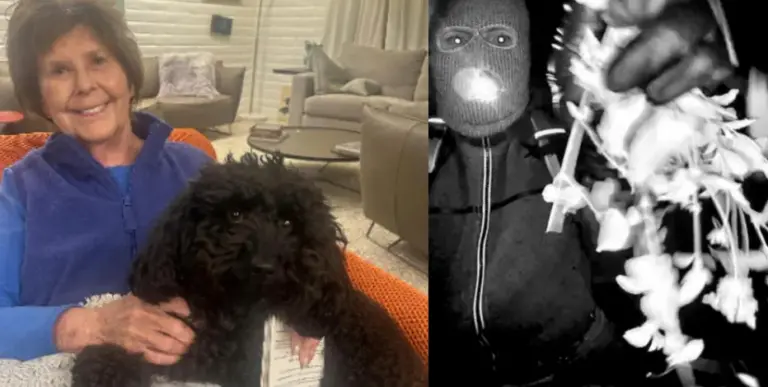 Nancy Guthrie video may have been erased after FBI kept out for days, director says