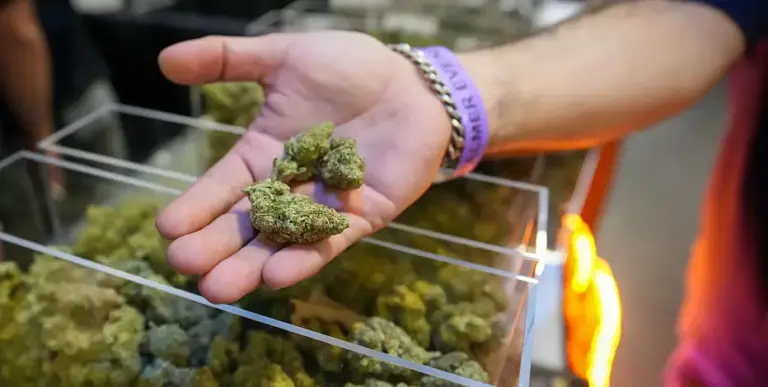 Texas Supreme Court enters fight over state’s THC rule