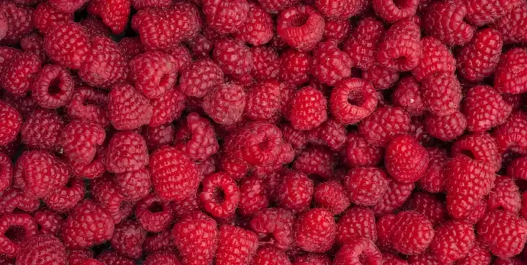 Cyclosporiasis in Michigan: List of foods linked to some outbreaks