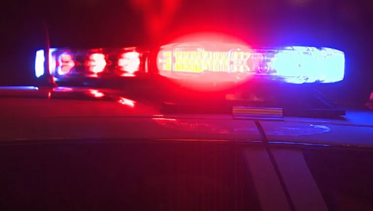 FILE -- Police lights flash on top of a cruiser in this undated image.