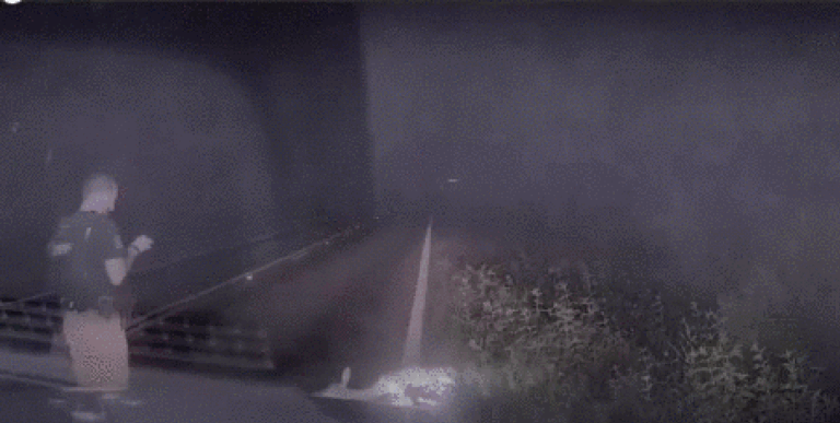 WATCH: ‘Dead’ deer scares Texas deputy in viral video